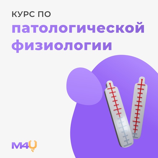 Medforyou - школа медицины Курс по общей патологической физиологии 2024 слив курса
