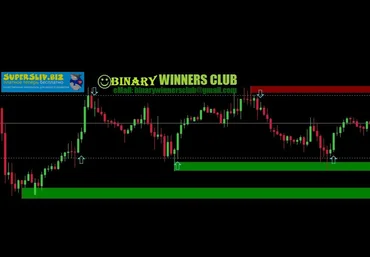 Binary Winners Club Стратегия для бинарных опционов Pro ITM Miner VIP Edition 2019 слив