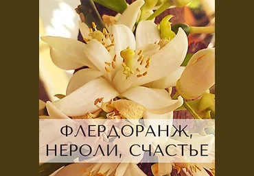 Анна Зворыкина Парфюмерия Флердоранж, нероли, счастье 2024 слив