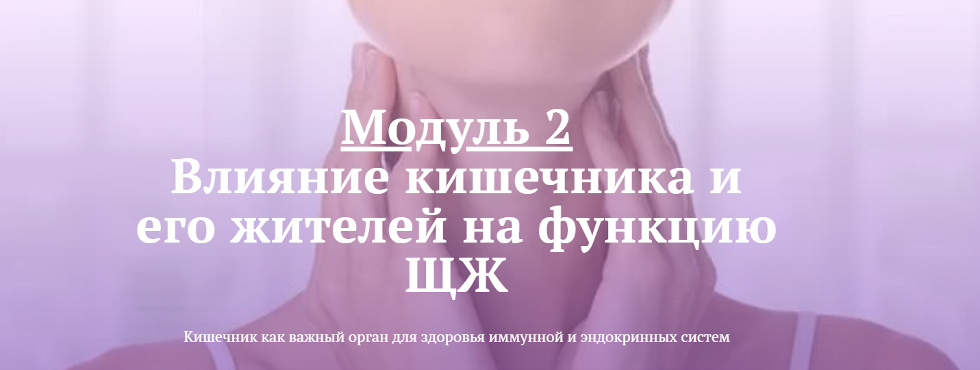 Лариса Чумак endo_doc_ Модуль 2: Влияние кишечника и его жителей на функцию ЩЖ 2021 слив курса