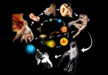 Мария Гнатовская Фаза Ци: спрятанная инструкция к вашей жизни 2025 скачать слив
