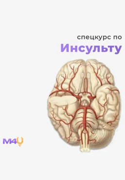 Medforyou - школа медицины Спецкурс по инсульту 2025 слив