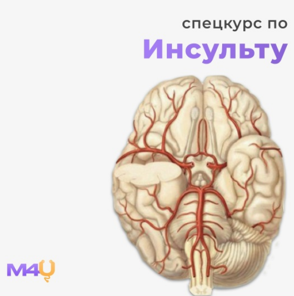 Medforyou - школа медицины Спецкурс по инсульту 2025 слив курса