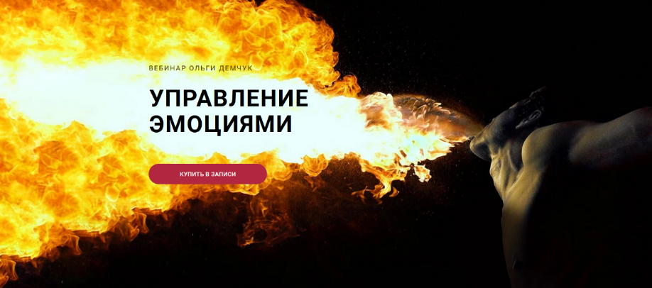Ольга Демчук Управление эмоциями 2024 слив курса