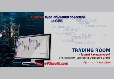 Елена Калашникова Понимание рынка от ESDaytrader. Эксклюзивное обучение трейдингу на CME слив