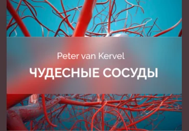 Питер Ван Кервель Краниосакральная академия Чудесные сосуды 2025 слив