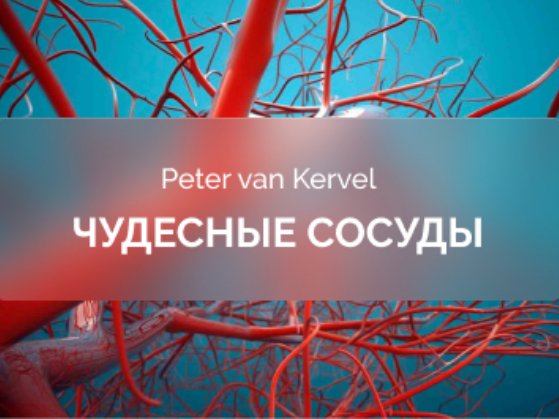 Питер Ван Кервель Краниосакральная академия Чудесные сосуды 2025 слив курса