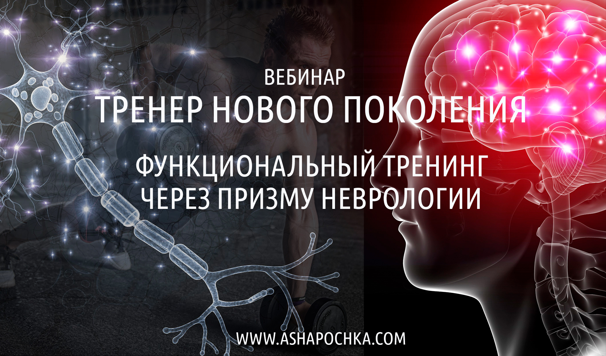 Антон Шапочка Тренер нового поколения. Функциональный тренинг через призму неврологии 2021 слив курса