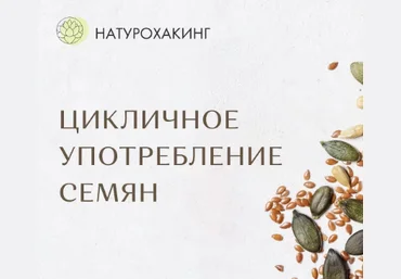 Вероника Хуснутдинова Цикличное употребление семян 2023 слив