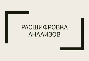 Светлана Литвиненко Гайд по расшифровке лабораторных анализов 2024 слив