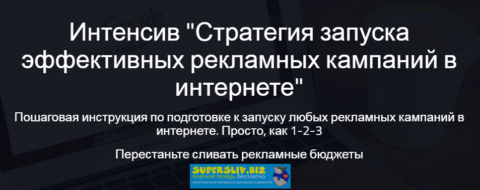 Надежда Раюшкина Стратегия запуска эффективных рекламных кампаний в интернете 2019 слив курса