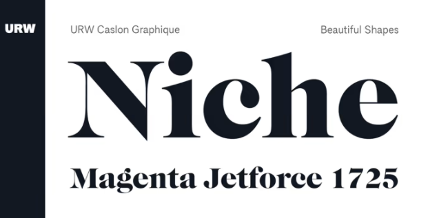 Myfonts URW Caslon Graphique Font 2021 слив курса