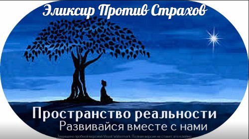 Эликсир против страхов - Пространство Раельности 2015 слив курса