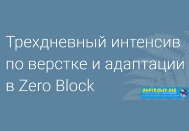 Максим Ширко Продвинутая верстка и адаптация сайтов под мобильные устройства в Zero Block 2019 скачать слив