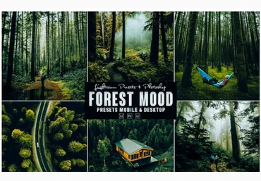 Elements.Envato Forest Photoshop Action & Lightrom Presets 2021 скачать слив