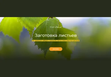 Ольга Данилюк Заготовка листьев 2023 слив