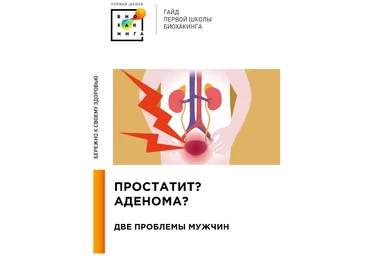 Ирина Баранова, Татьяна Смольянинова Первая школа биохакинга Гайд Простатит и аденома 2024 слив