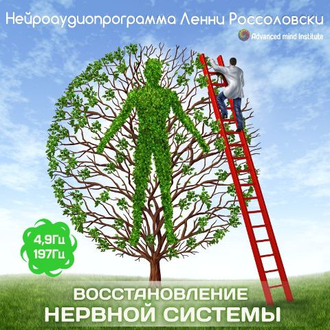 Восстановление нервной системы - Россоловски слив курса
