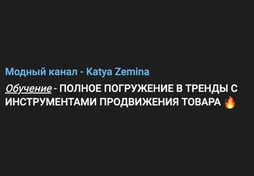 Екатерина Земина, Дарья Лаиш Полное погружение в тренды с инструментами продвижения товара 2024 слив