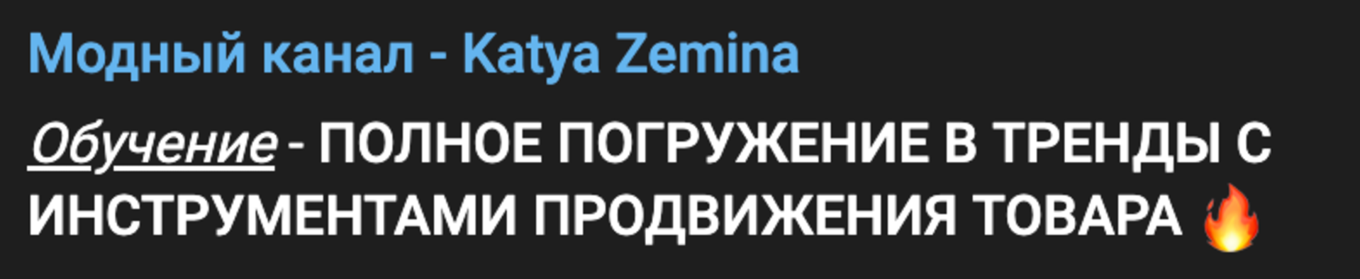 Екатерина Земина, Дарья Лаиш Полное погружение в тренды с инструментами продвижения товара 2024 слив курса