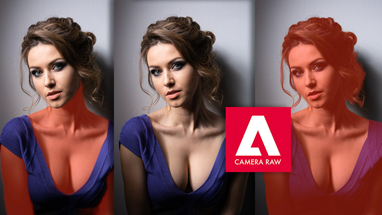 Андрей Журавлев liveclasses Adobe Photoshop 2023: Adobe Camera Raw 15. Работа с масками 2022 слив курса