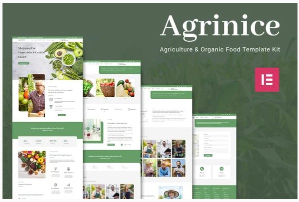 Themeforest Agrinice - Agriculture and Organic Food Template Kit слив курса