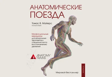 Томас Майерс Анатомические поезда слив