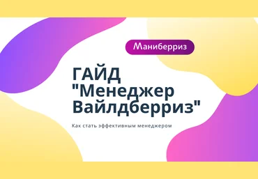 Анастасия Павлова Маниберриз: Гайд «Менеджер Вайлдберриз» 2020 слив