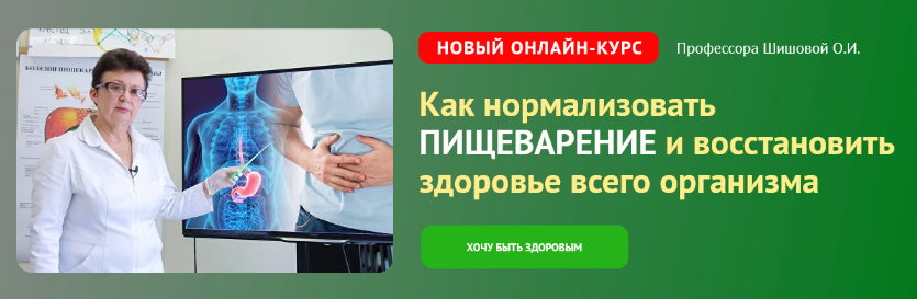 Ольга Шишова Как нормализовать пищеварение и восстановить здоровье всего организма 2023 слив курса