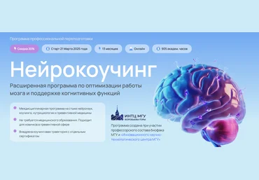 УОМ Андрей Гострый, Дмитрий Занин, Ирина Мальцева ― Нейрокоуч 1 ступень, модуль 4 2024 слив