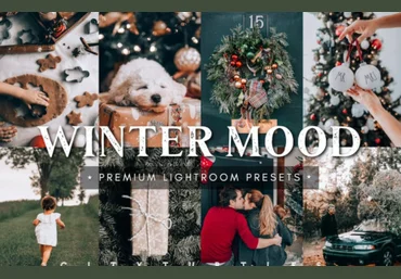 Creativemarket Winter Mood Holiday Lightroom Presets 2021 скачать слив