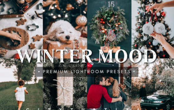 Creativemarket Winter Mood Holiday Lightroom Presets 2021 слив курса