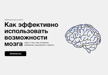 Синхронизация Илья Захаров - Как эффективно использовать возможности мозга 2022 скачать слив