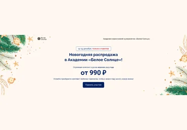 Ю.Снеговая, Е.Куликова, Э.Батталова и др. Белое солнце Новогодняя распродажа 2023 слив