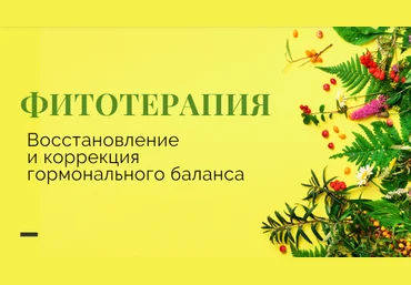 Яна Степанова phytoyana Методичка «Фитотерапия женских заболеваний» 2024 слив