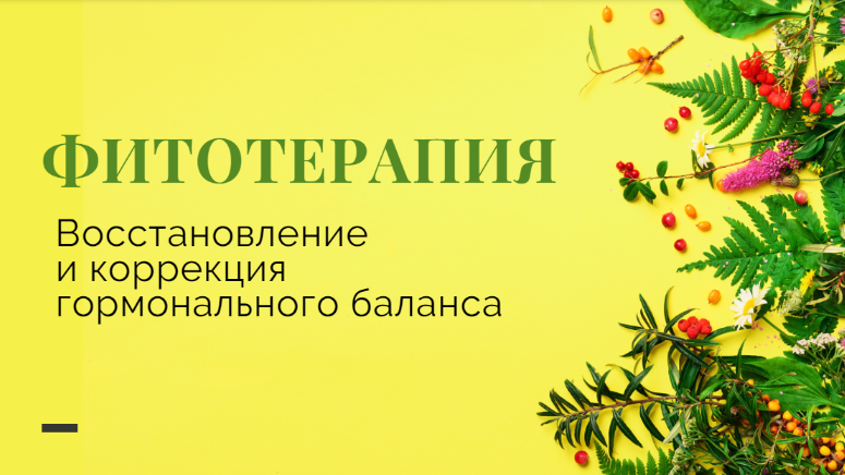 Яна Степанова phytoyana Методичка «Фитотерапия женских заболеваний» 2024 слив курса