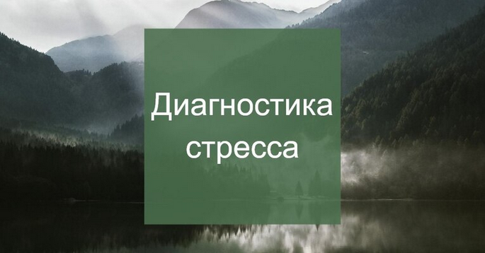 Елена Суханова Диагностика стресса 2025 слив курса