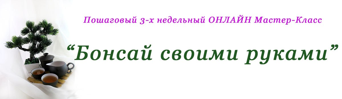 МК «Бонсай своими руками» слив курса