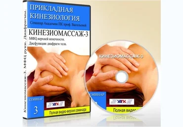 Кинезиомассаж - 3. Мышечные цепи плечевого пояса - Чижикова 2016 слив