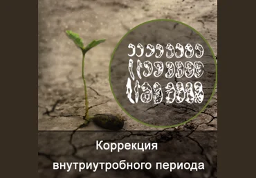Ксения Меньшикова Коррекция внутриутробного развития 2021 слив