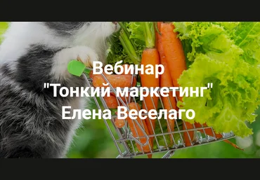 Институт Открытого поля Елена Веселаго ― Тонкий маркетинг 2024 слив