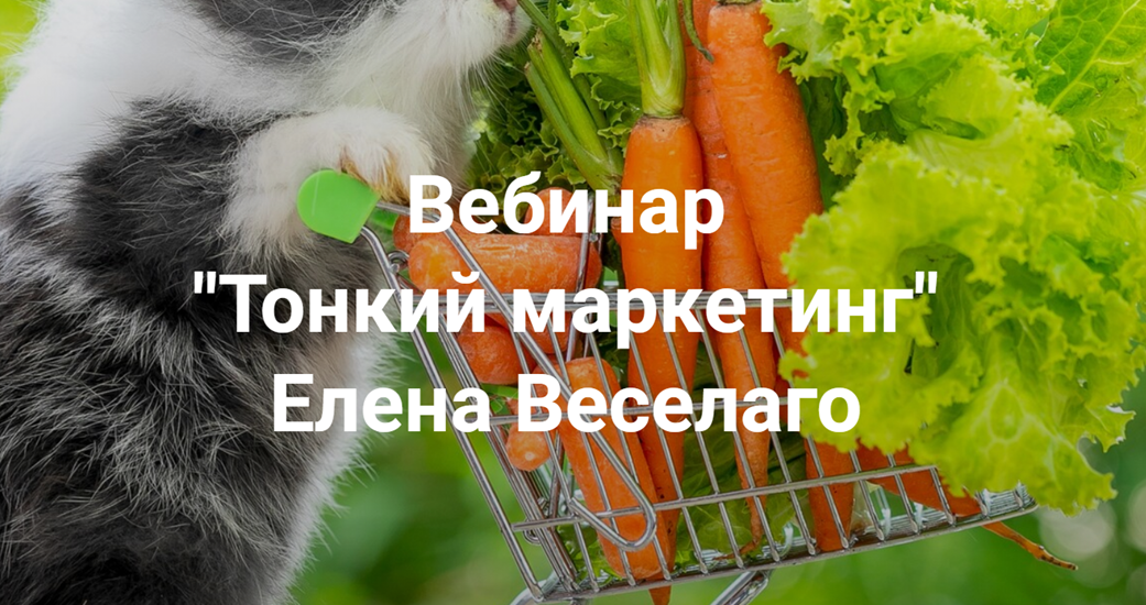 Институт Открытого поля Елена Веселаго ― Тонкий маркетинг 2024 слив курса