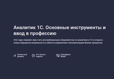 Василий Еремин Stepik Аналитик 1С. Основные инструменты и ввод в профессию 2024 слив