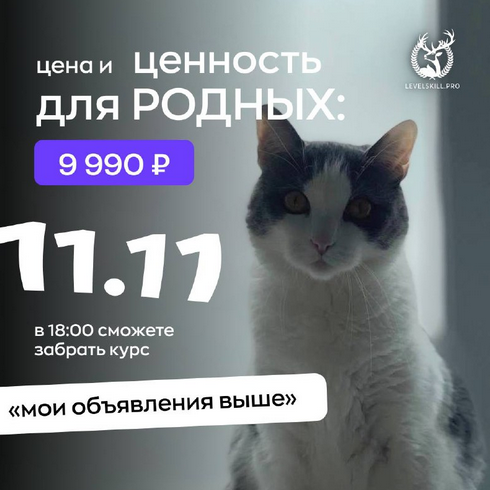 Владимир Шамо Мои объявления выше. Курс по авито 2024 слив курса