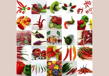 Михайлова Ксения Пряности и пряные травы слив