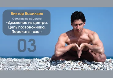 Соматика «Движение из центра 2. Цепь позвоночника. Перекаты таза» слив