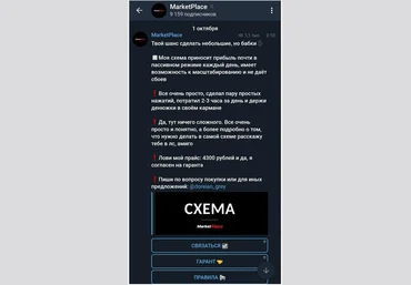 Схема с MarketPlace за 4300 рублей 2019 слив