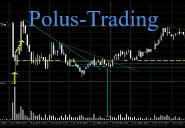Курс Анвара Садыкова polus-trading 4 и 5 финальная группа слив
