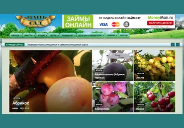 Школа Monta Готовые прибыльные сайты   пошаговые инструкции по работе с ними для получения дохода. слив