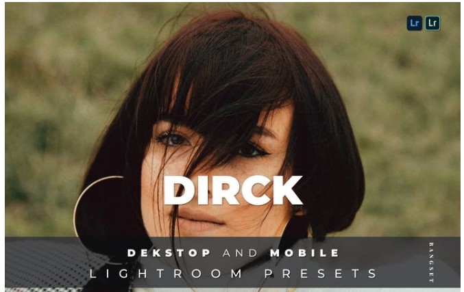 Elements.Envato Dirck Desktop and Mobile Lightroom Preset 2021 слив курса